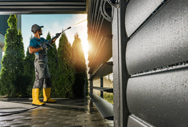 Best Graffiti Removal  in Monroe, MI